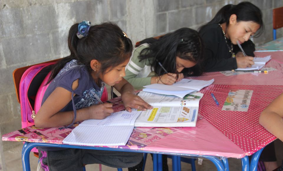 A group of children studying at school